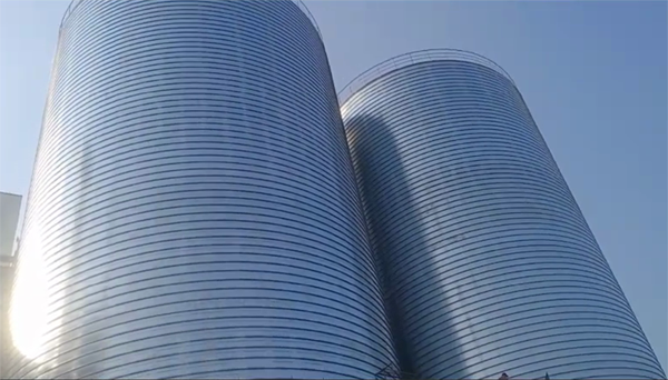 丰宁2座混凝土高架卷板仓